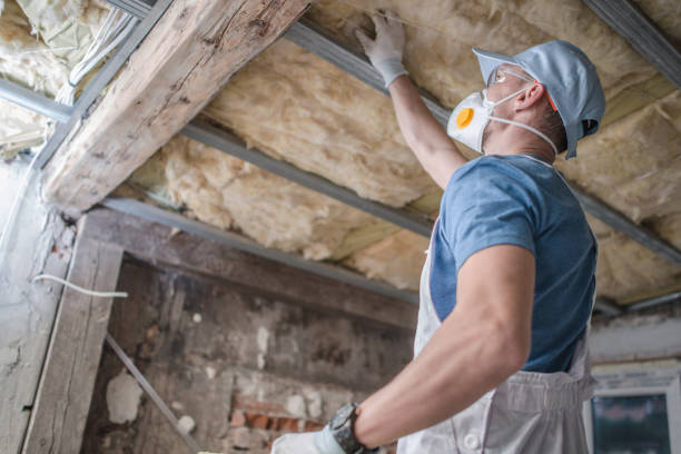 Best Residential Insulation in Byrnes Mill, MO