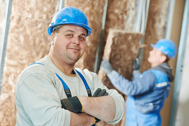 Best Cellulose Insulation in Byrnes Mill, MO