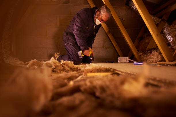 Best Energy Efficiency Insulation in Byrnes Mill, MO