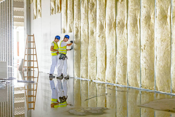 Best Spray Foam Insulation in Byrnes Mill, MO